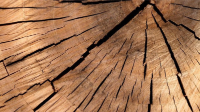 EVENTO | Legno, edilizia sostenibile e innovazione